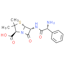 Ampicillin