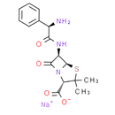 Ampicillin Sodium