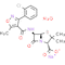 Cloxacillin (sodium monohydrate)