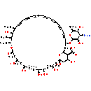 Amphotericin B