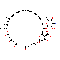 Amphotericin B