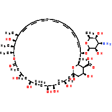 Amphotericin B