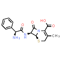 Cephalexin