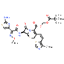 Cefditoren (Pivoxil)