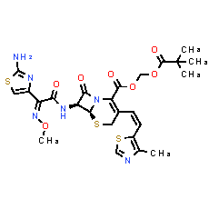 Cefditoren (Pivoxil)