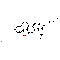 Betamethasone Hydrochloride