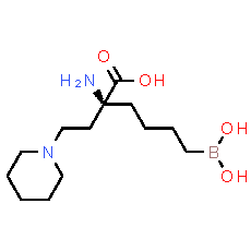 Arginase inhibitor 1