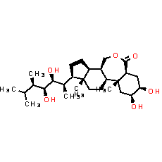 Brassinolide