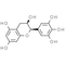 (-)-Epigallocatechin