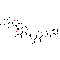 Auristatin E