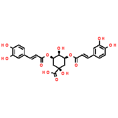 3,5-Dicaffeoylquinic acid