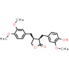 Arctigenin