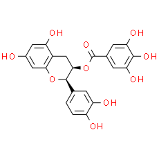 (-)-Epicatechin gallate