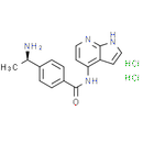 Y-39983 HCl