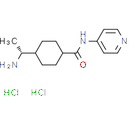 Y27632 HCl