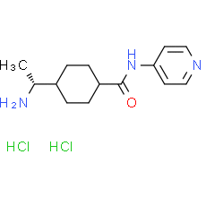 Y27632 HCl