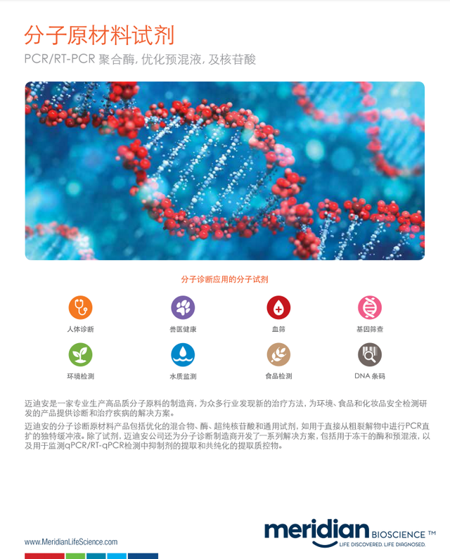 Bst DNA Polymerase