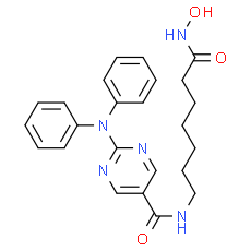 ACY-1215 (Rocilinostat), HDAC6 inhibitor