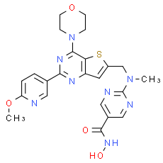 CUDC-907, PI3K/HDAC dual inhibitor