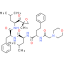 Carfilzomib, Proteasome Inhibitor