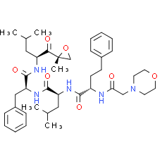 Carfilzomib, Proteasome Inhibitor