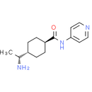 Y-27632, Rock Inhibitor.