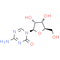 5-Azacytidine, DNA Methyltransferase Inhibitor