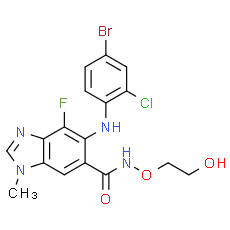 AZD6244 (Selumetinib), MEK Inhibitor