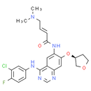 BIBW2992(Afatinib) --- EGFR Inhibitor