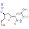 Azidothymidine (AZT), Reverse Transcriptase Inhibitor